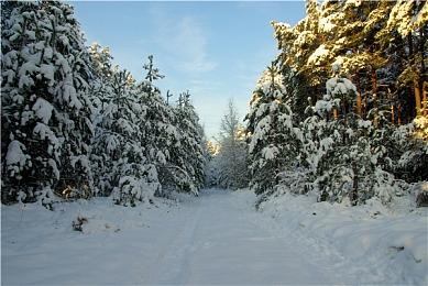 《全境封锁：曙光》手游新预告 明天开启线上测试