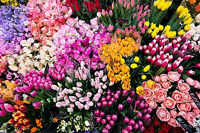 Unity公司发布季度财报数据 业务增长状况非常乐观