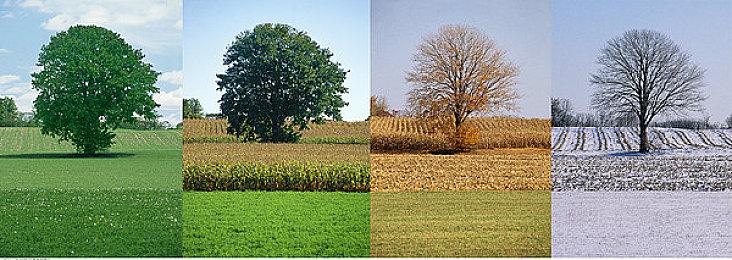 FC经典《赤影战士KAGE》重制公布首个正式预告