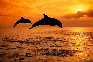 《街头霸王》推出新原声碟庆祝嘻哈音乐50周年